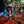 Load image into Gallery viewer, 07-Peyote-xc-race-pro-teams