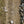 Load image into Gallery viewer, terreno-t-50-mixed-gravel-endurance-tire-06