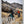 Load image into Gallery viewer, Giro Winter Essentials 2025