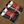 Load image into Gallery viewer, Peyote side by side