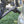 Load image into Gallery viewer, Maverack Heavy Duty Towball Ebike Rack - Single 15
