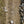 Load image into Gallery viewer, terreno-t-50-mixed-gravel-06
