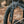 Load image into Gallery viewer, Flip Cage on Elkhorn 1
