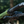 Load image into Gallery viewer, Mediator on bike
