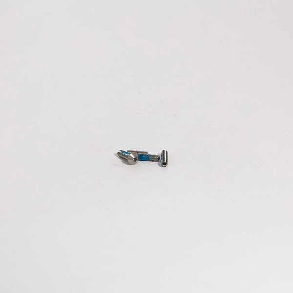 Campagnolo 12 Speed Rear Derailleur Limit Screw Set and Derailleur Postioning Screws RD-SR105