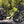 Load image into Gallery viewer, Maverack 4-BIKE PREMIUM VERTICAL RACK 8
