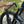 Load image into Gallery viewer, Maverack Heavy Duty Towball Ebike Rack - Double 14
