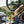 Load image into Gallery viewer, Maverack 4-Bike Vertical Rack 4
