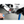 Load image into Gallery viewer, 615536 b tn
