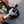 Load image into Gallery viewer, 626643 e tn
