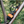 Load image into Gallery viewer, Portaledge XE Fitted tn
