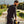 Load image into Gallery viewer, MX360Shirt_ProRugged2Elbow-501 tn
